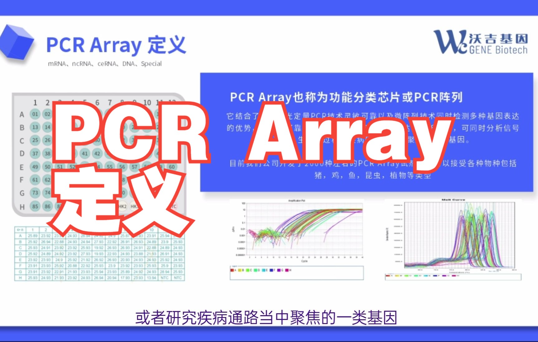 PCR Array定义哔哩哔哩bilibili