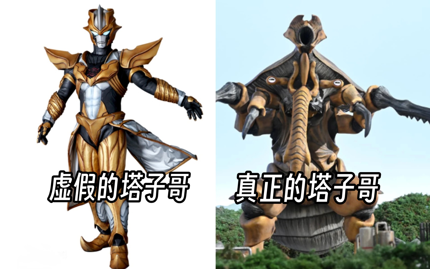 塔加努拉才是真正的塔子哥 虫门05