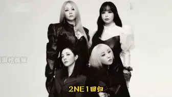 Video herunterladen: 2NE1不仅是大家的白月光，更是朴春的解药啊！！