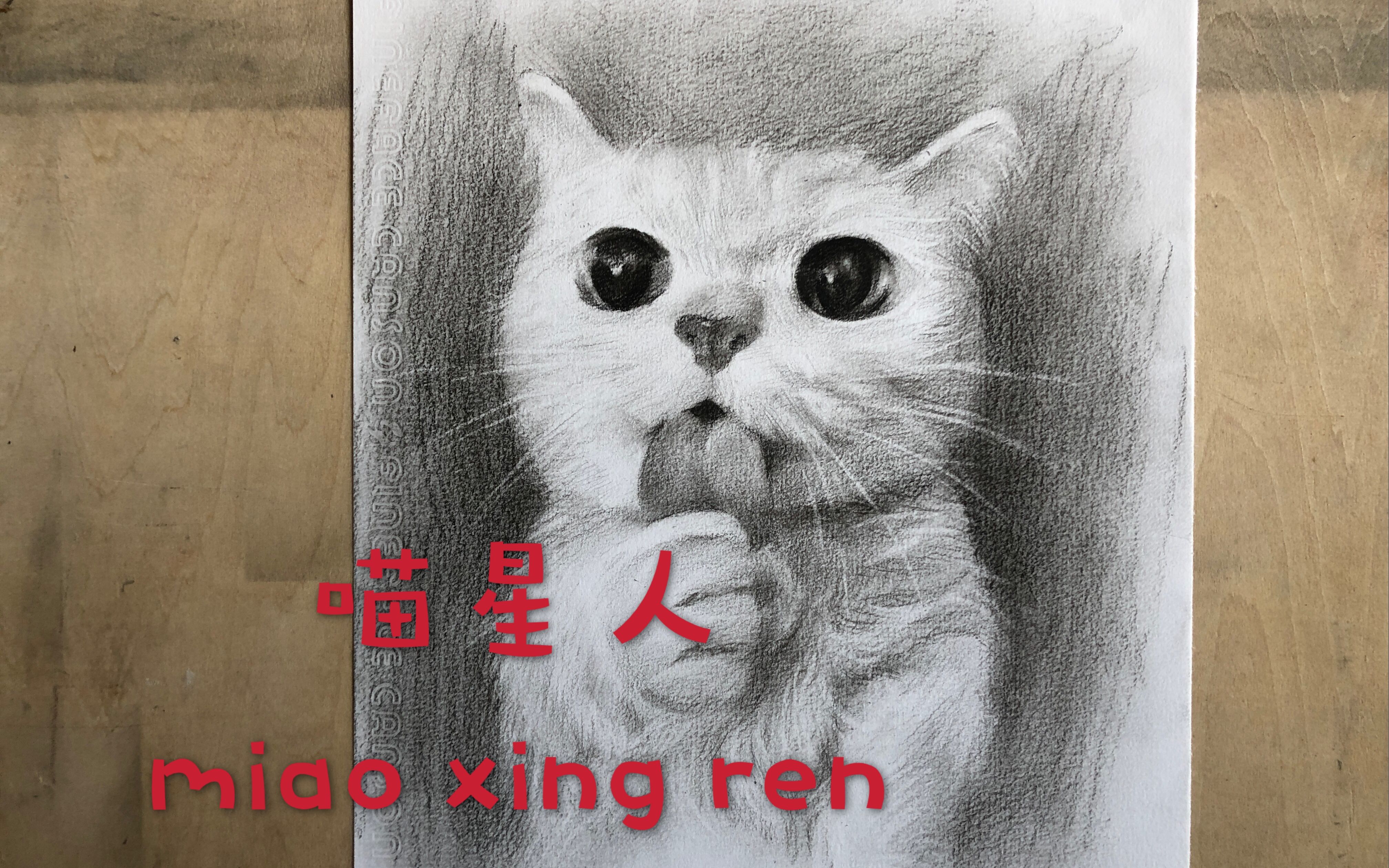 用简单的技法画一只可爱的素描猫猫哔哩哔哩bilibili