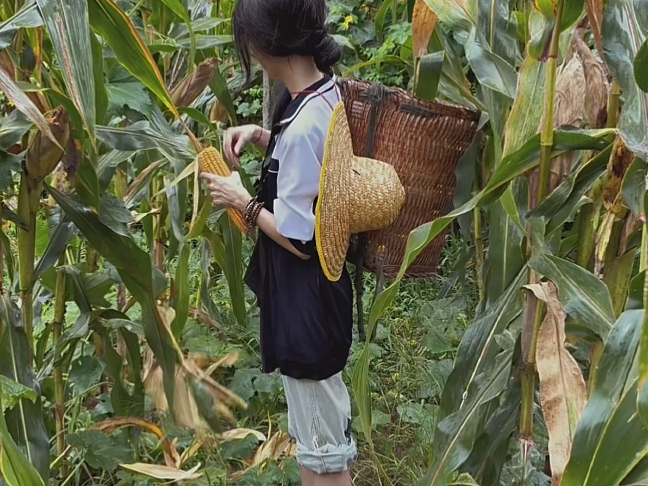 搬包谷第一视角