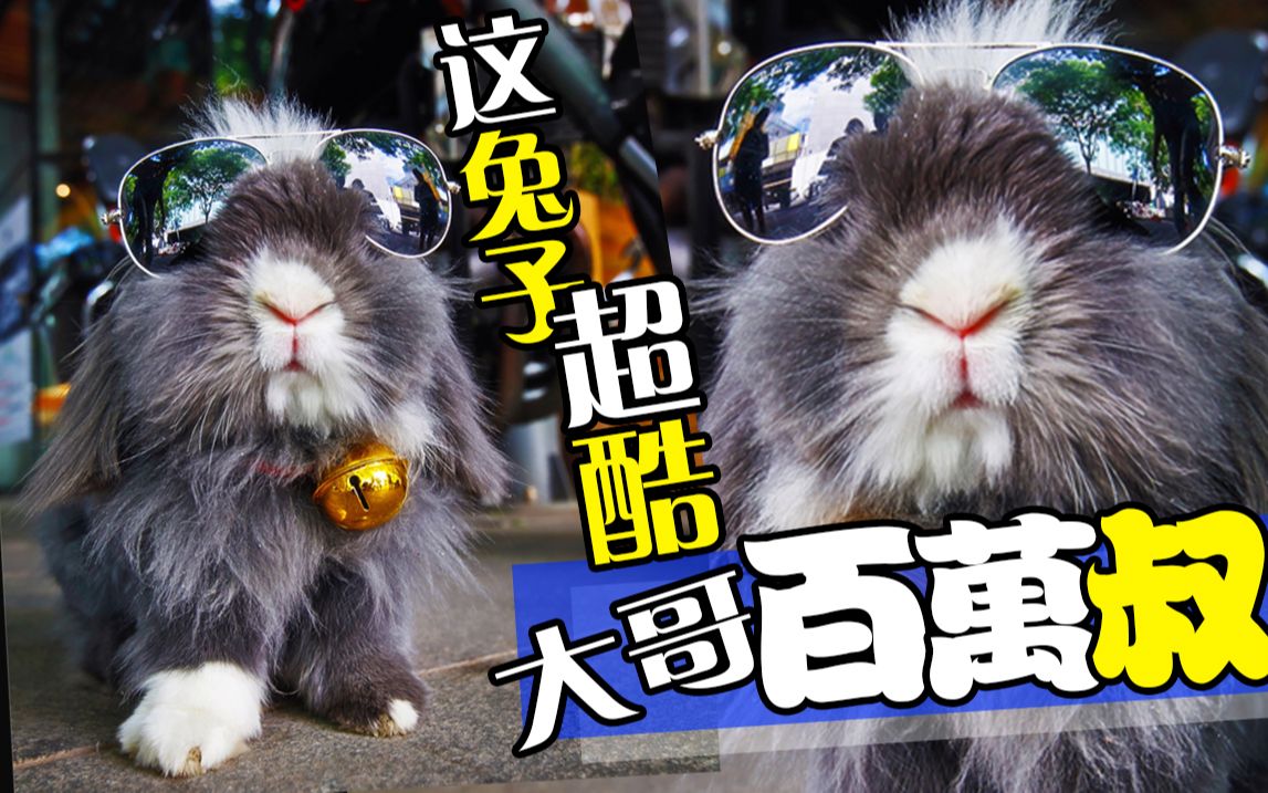 哔哩哔哩 (゜-゜)つロ 干杯~-bilibili