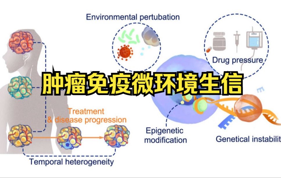 肿瘤免疫微环境生信分析1TME概念哔哩哔哩bilibili