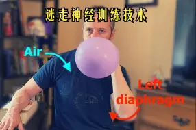 Descargar video: 最好的迷走神经训练技术