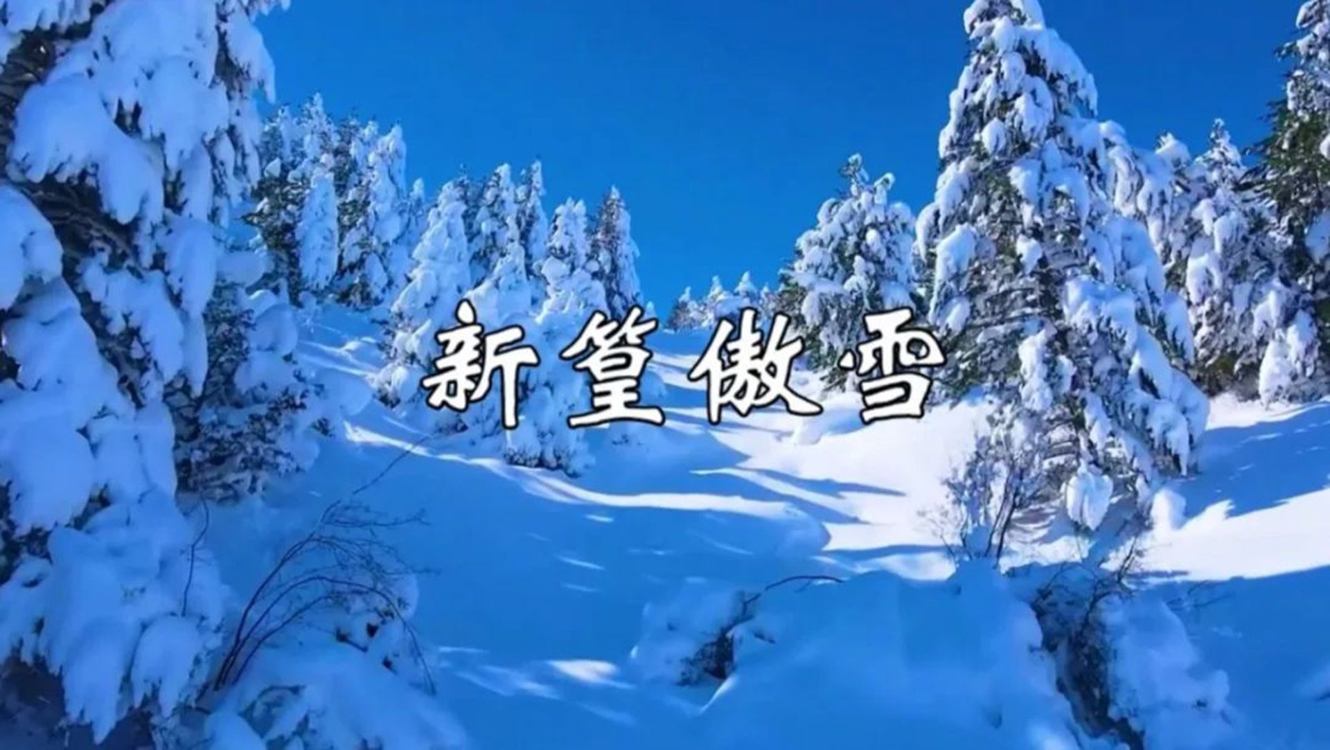 古琴箫曲《新篁傲雪》,空灵悠然,缓解焦虑哔哩哔哩bilibili