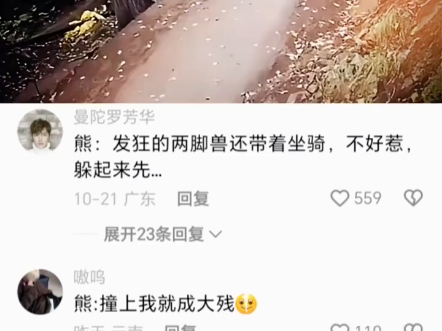 熊:撞上我就成大残哔哩哔哩bilibili