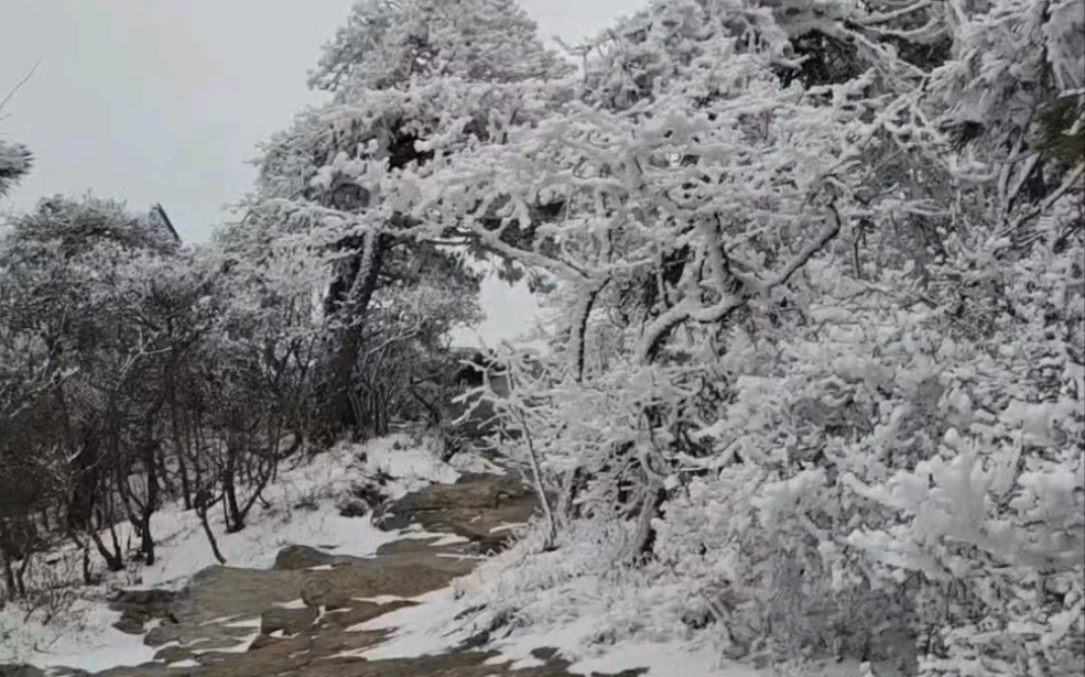 [图]登庐山五老峰