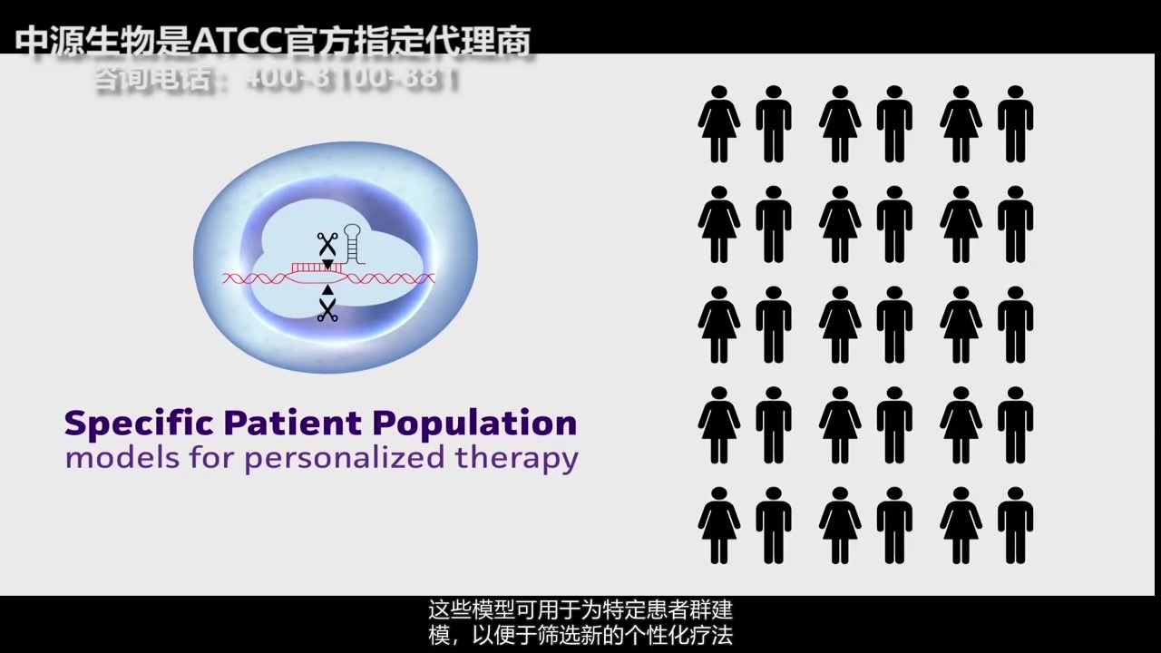 ATCC CRISPRCas9 Genome Editing Technology Isogenic Cell Models【字幕版】哔哩哔哩bilibili