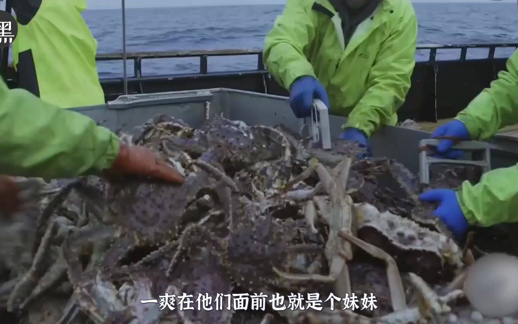 恶海捕蟹记这群捕捞帝王蟹的渔民收入一个比一个厉害s13e7