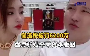 Download Video: 偷逃税被罚6200万 盘点驴嫂平荣资本版图