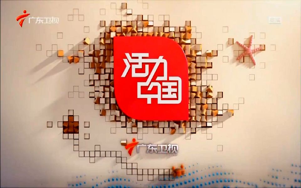 广东卫视2010图片