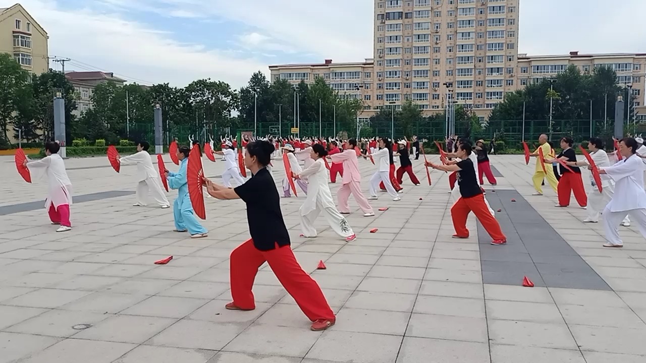 太极功夫扇第二套演练图片