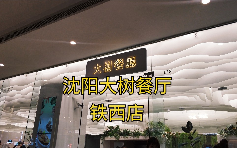 沈阳大树餐厅铁西店、花园式圆型桌椅、周末爆满哔哩哔哩bilibili