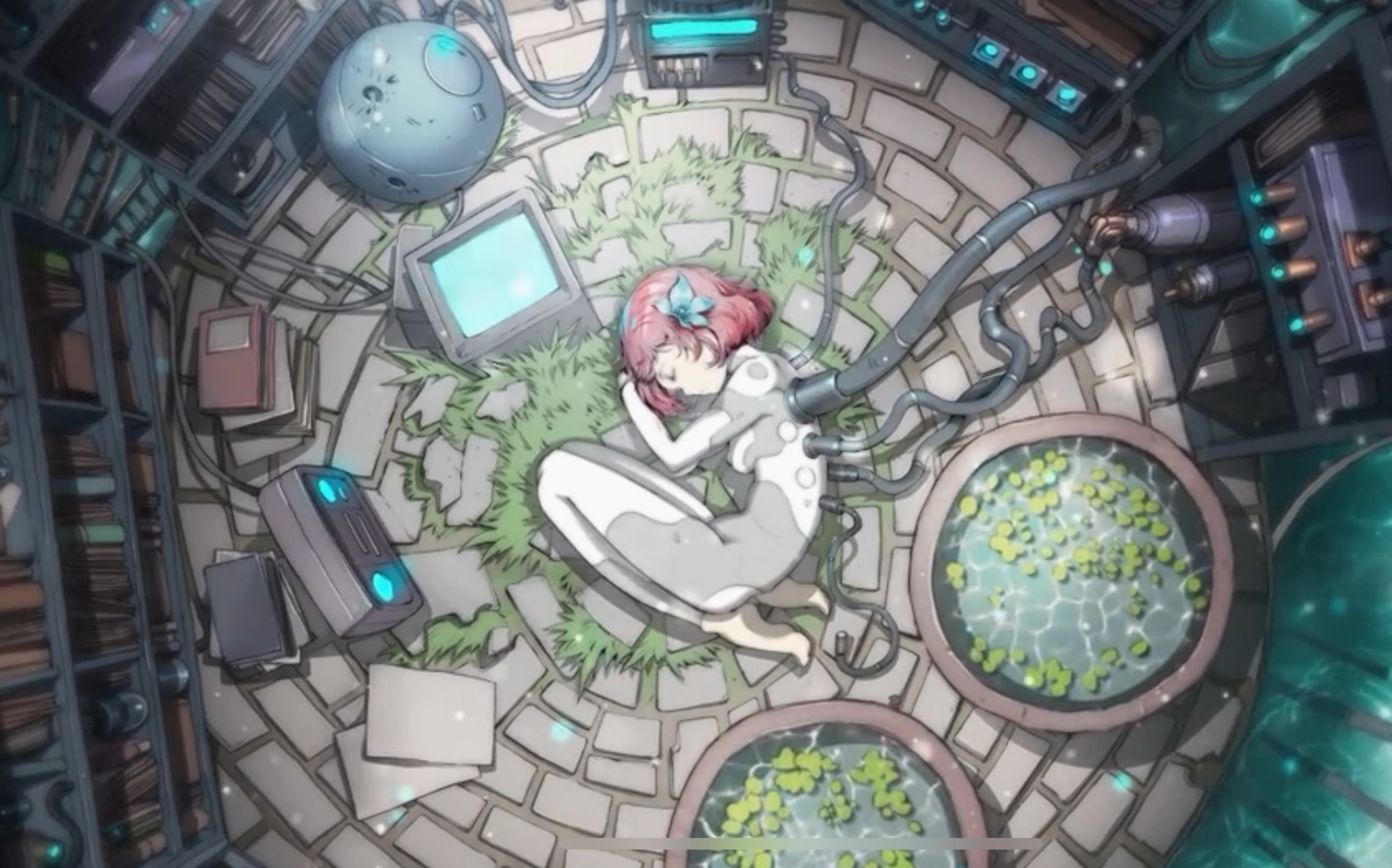 worrybearcytus2aromachange初见