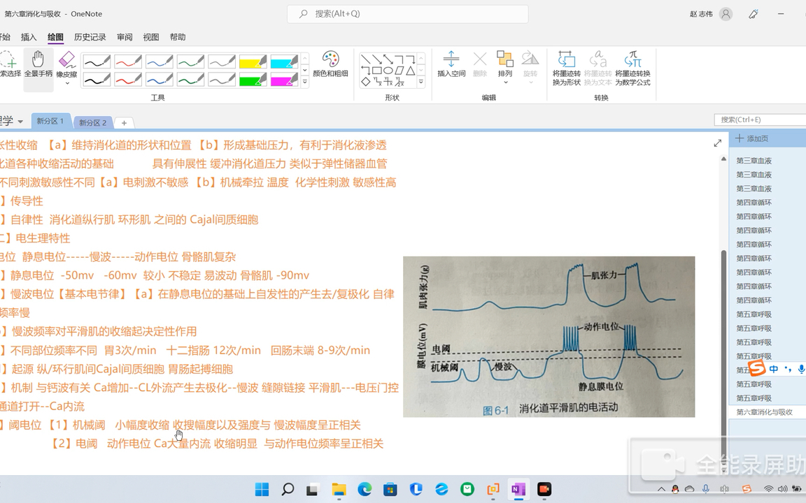 生理学打基础:三分钟掌握消化道平滑肌的电生理特性,什么是慢波哔哩哔哩bilibili