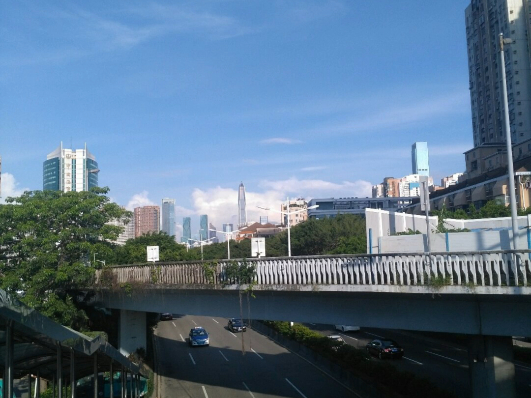 高楼林立的城市风光!天际线美景