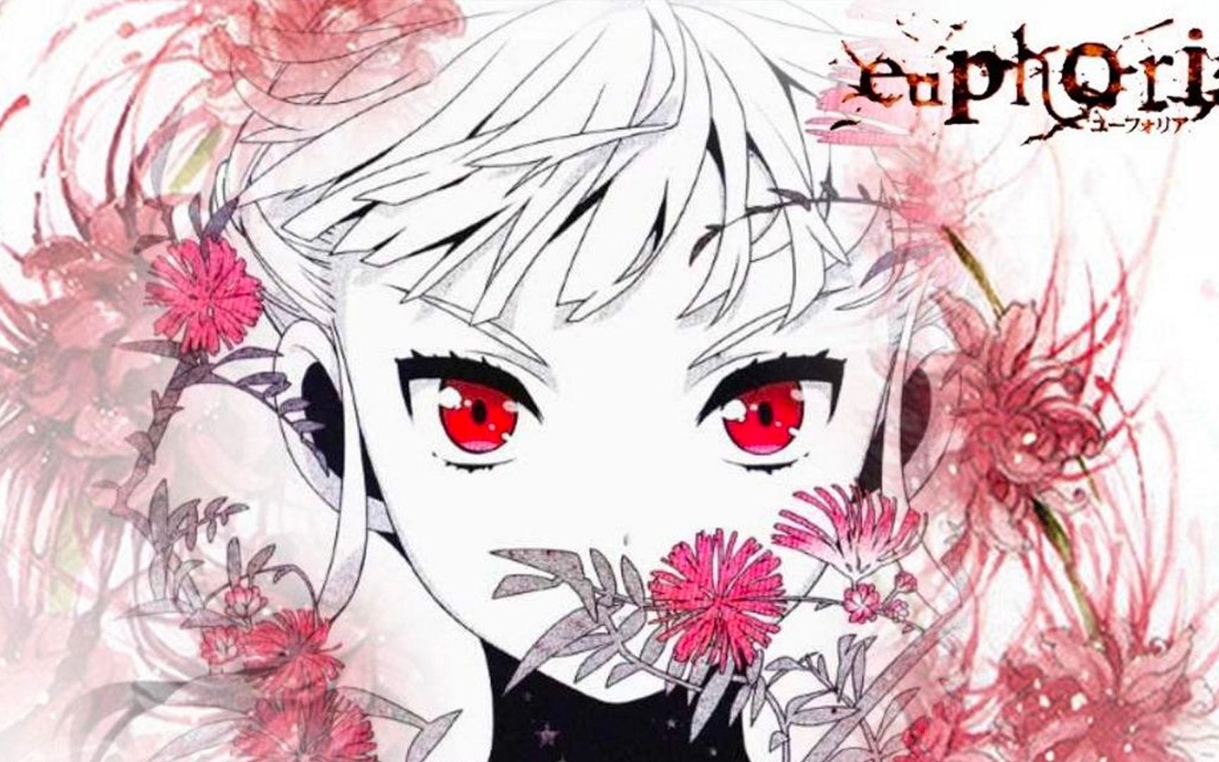 [图]【指弹】Euphoria OP 楽園の扉 指弹谱例演示