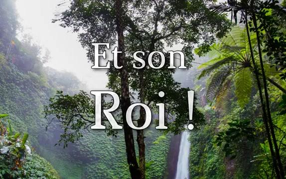 刚果自由邦国歌18851908