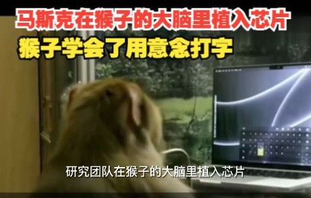 马斯克在猴子的大脑里植入芯片,猴子学会了用意念打字哔哩哔哩bilibili