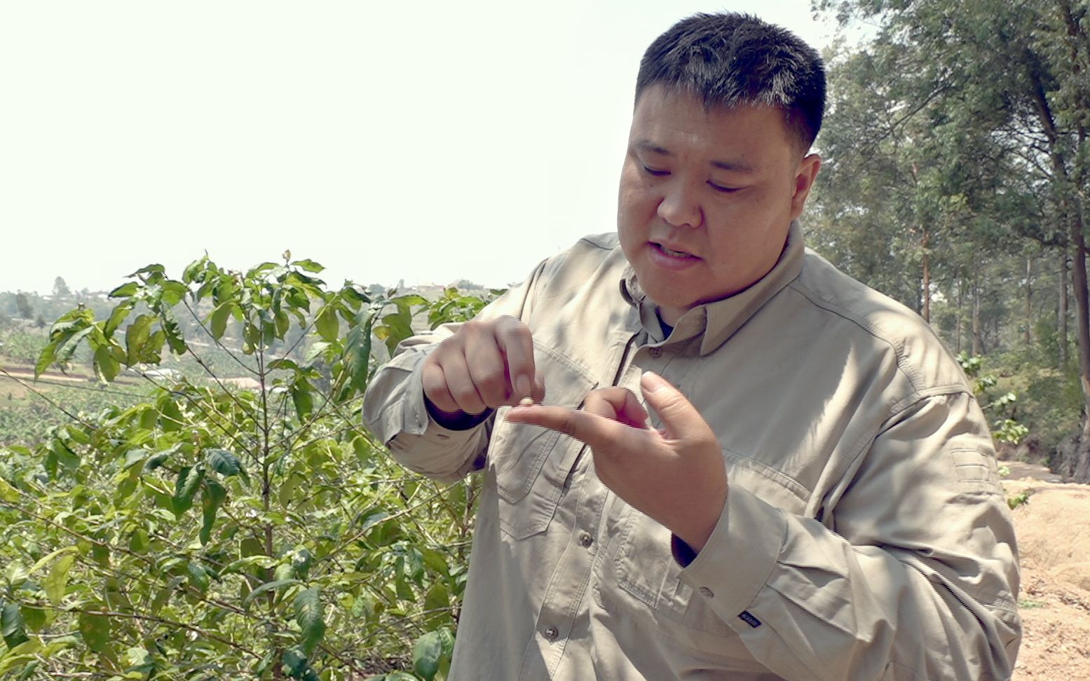 咖啡是怎样炼成的?侣行探秘非洲卢旺达咖啡制作工场哔哩哔哩bilibili