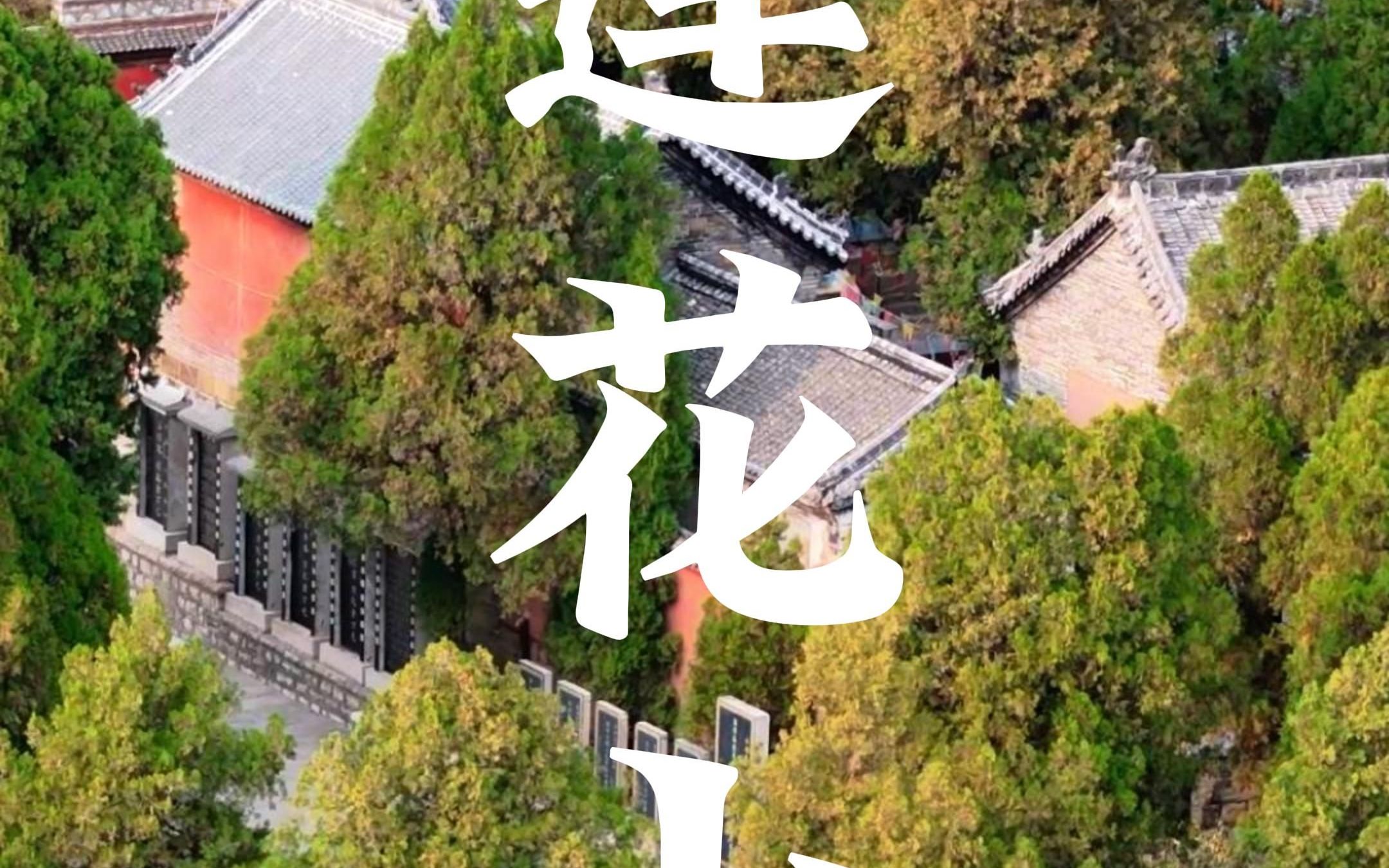 淄博博山莲花山,除了正觉寺龙泉寺,还有碧霞祠玉皇宫,清静庄严哔哩哔哩bilibili