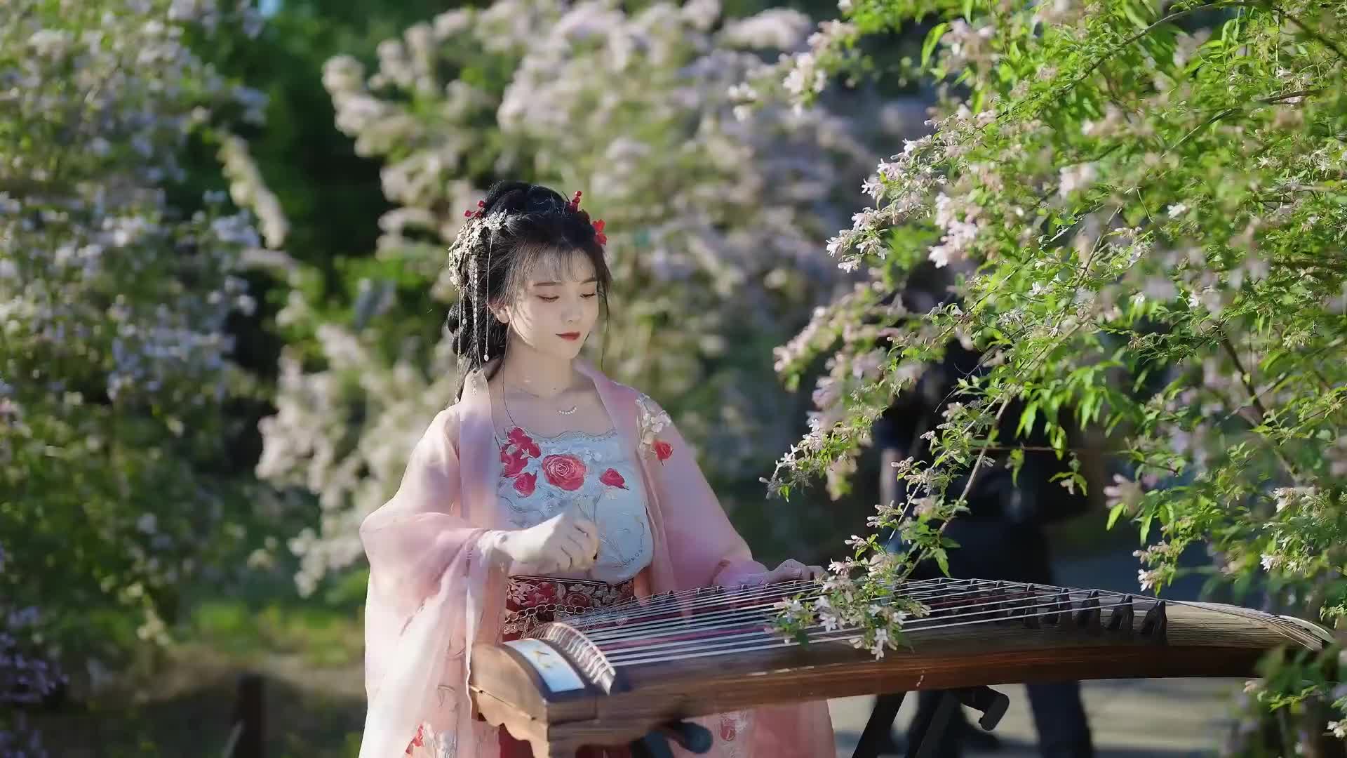 别人为情所困而我是每天都很困花西子古筝汉服小姐姐