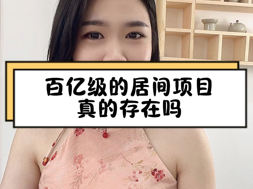 百亿级的居间项目真的存在吗?哔哩哔哩bilibili