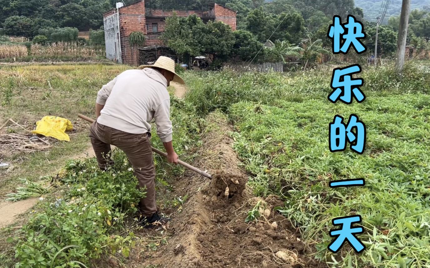 [图]农师傅带大家体验一下冬日农民的劳作，是快乐的一天~