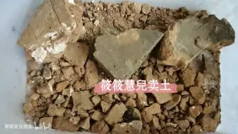 Télécharger la video: 【筱筱慧兒】脆脆饼干咀嚼音声控助眠