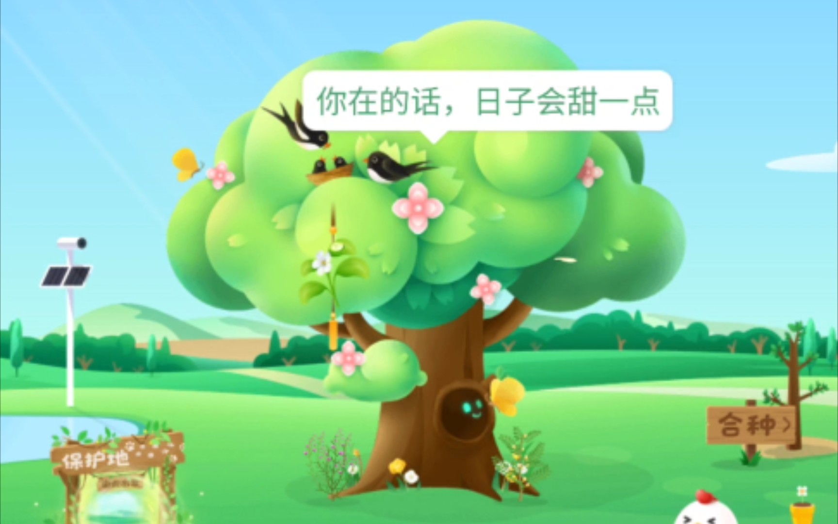 蚂蚁森林的情话哔哩哔哩bilibili