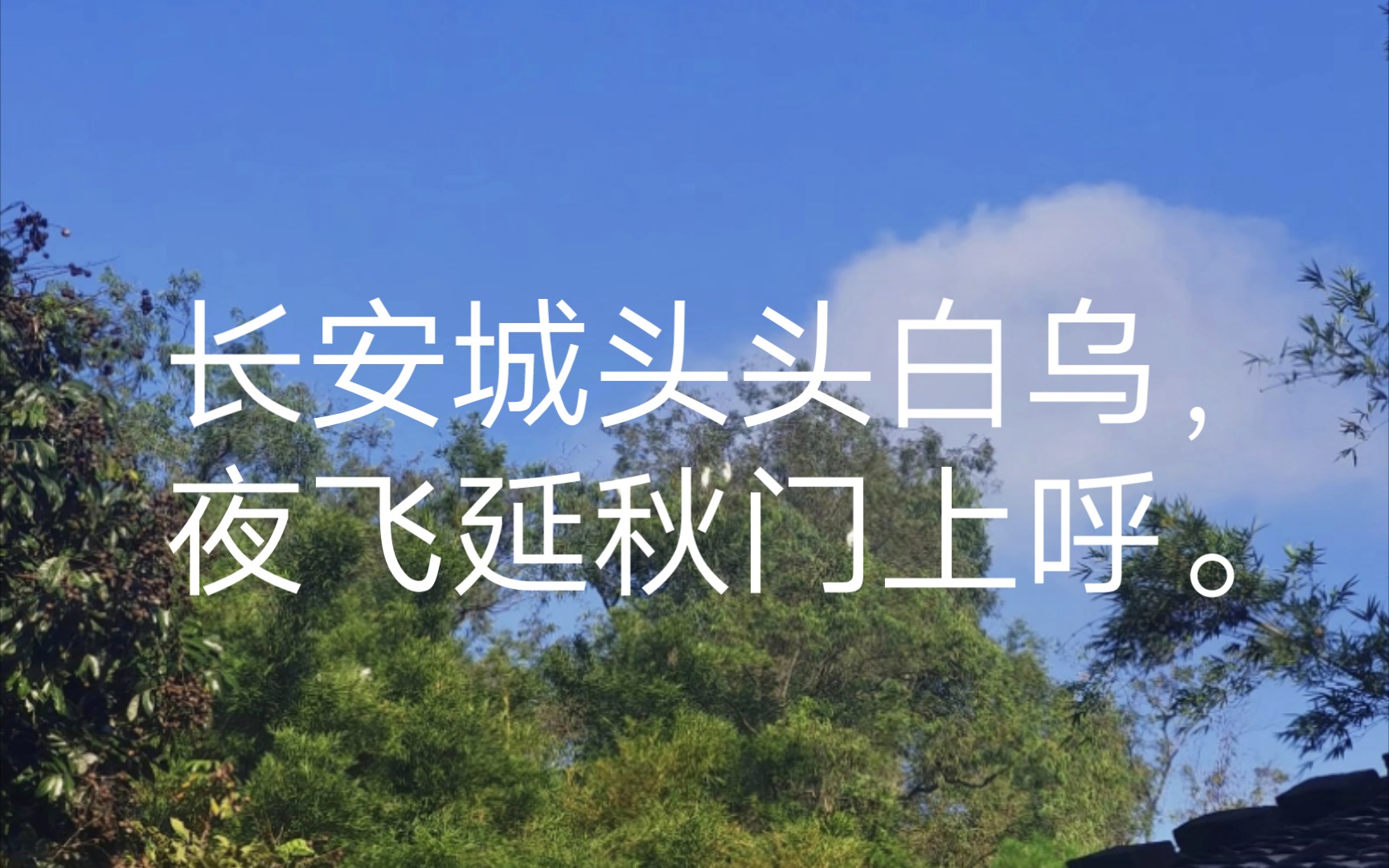 [图]唐诗三百首(哀王孙[唐代]杜甫)