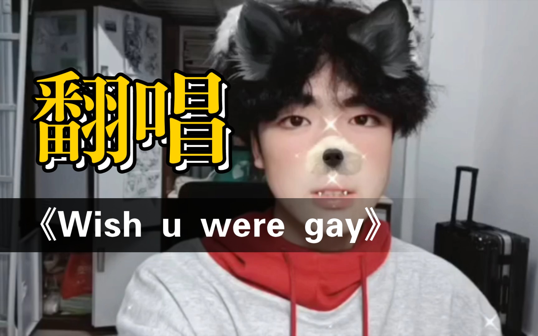 [图]深情男大翻唱wish u were gay