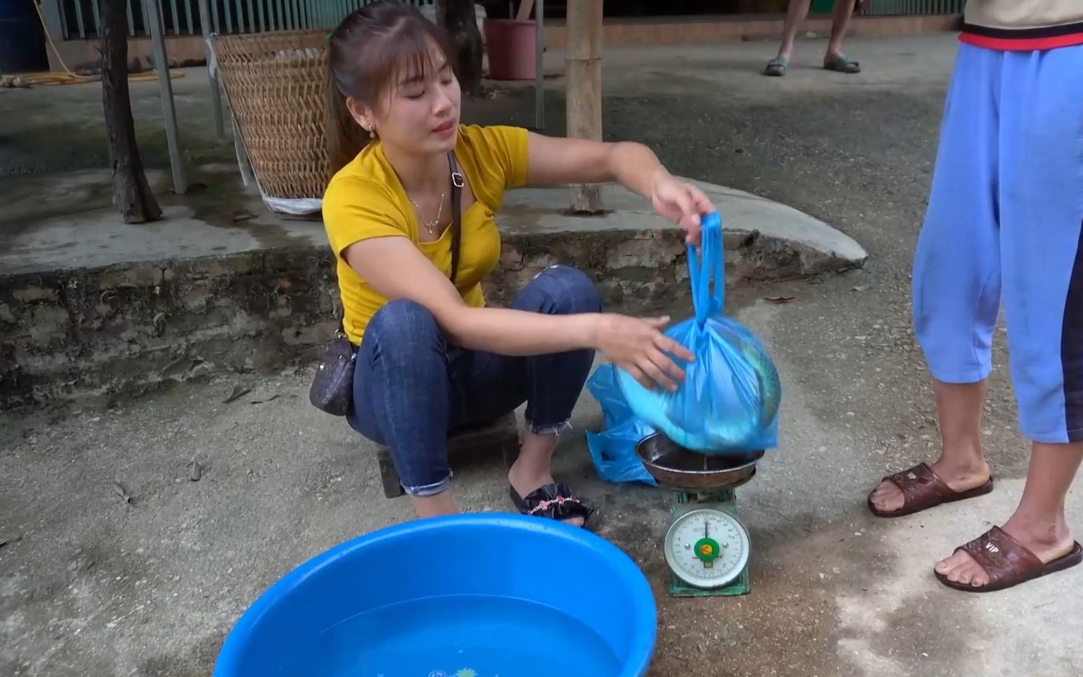 [图]草鱼大丰收，美丽小娘子背到集市大卖特卖，再煮个鱼火锅犒劳自己