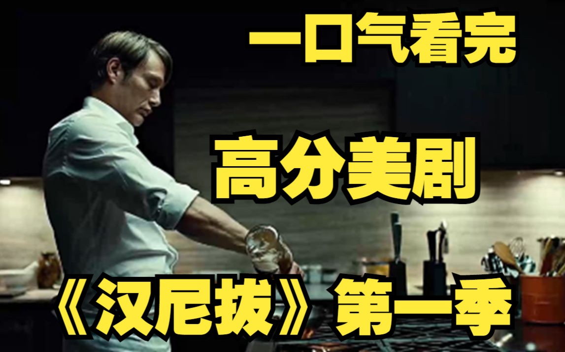 一口气看完高分美剧【汉尼拔第一季】一起来欣赏站在食物链最顶端的
