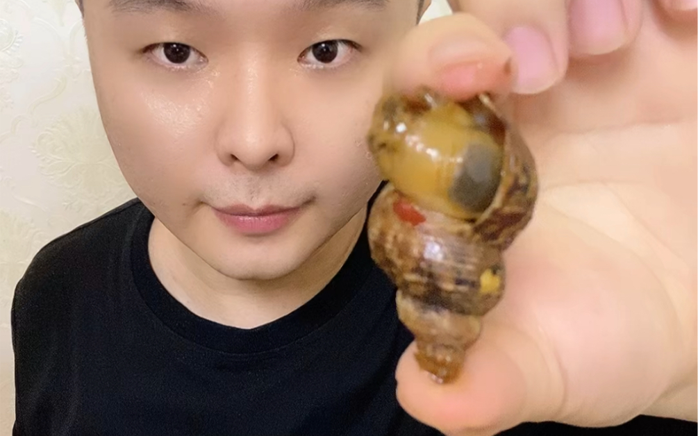 活动作品牛鼻子螺