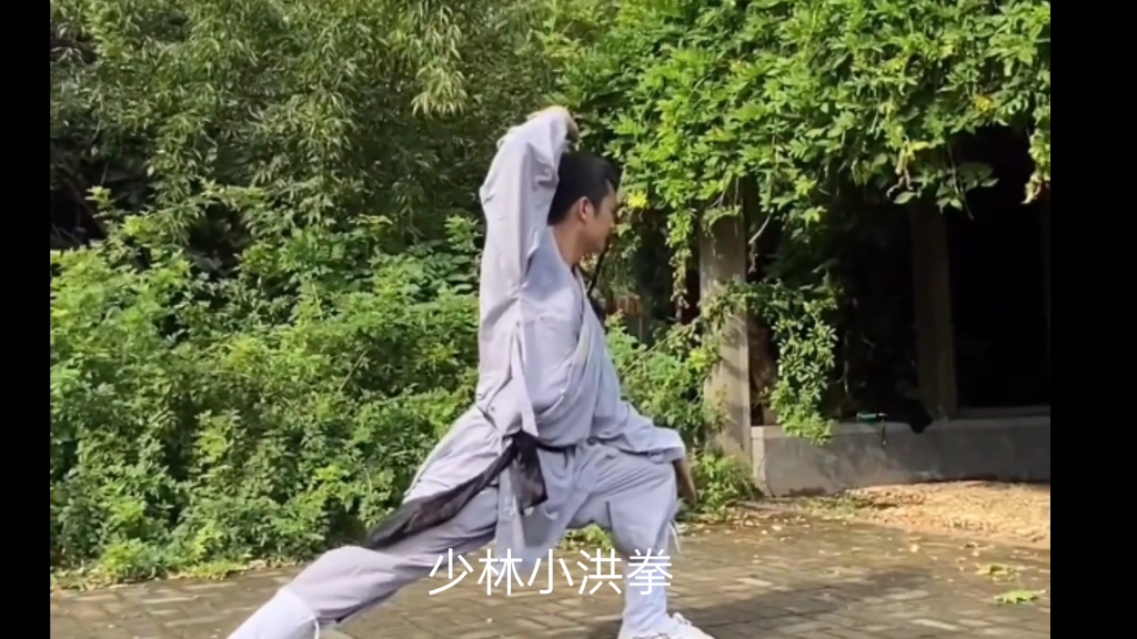 [图]百拳之母，少林小洪拳