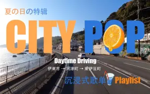 下载视频: 【CITY POP】沉浸式歌单｜一起拥抱夏日的太阳与海洋吧~夏の日の特辑VOL.2