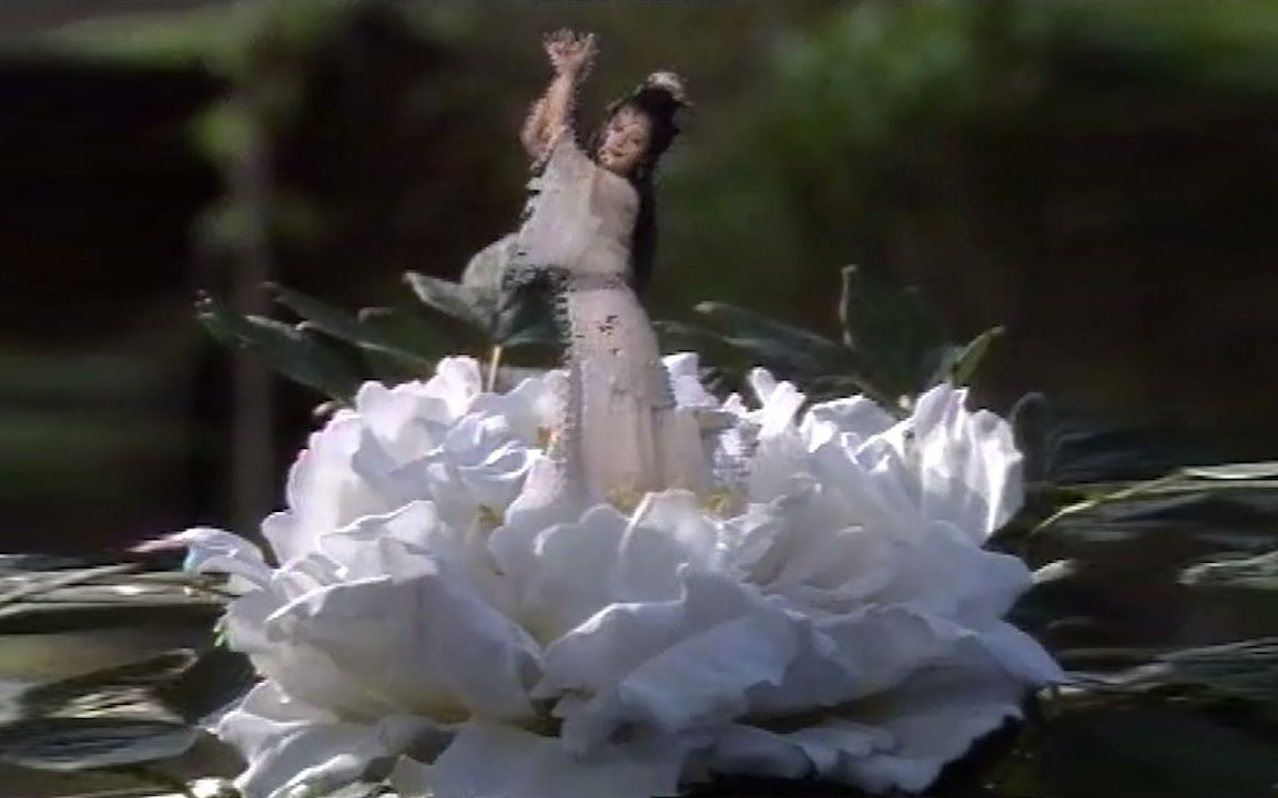 【老电影故事】聊斋故事,书生婚姻不幸福,意外从牡丹花种出大美女