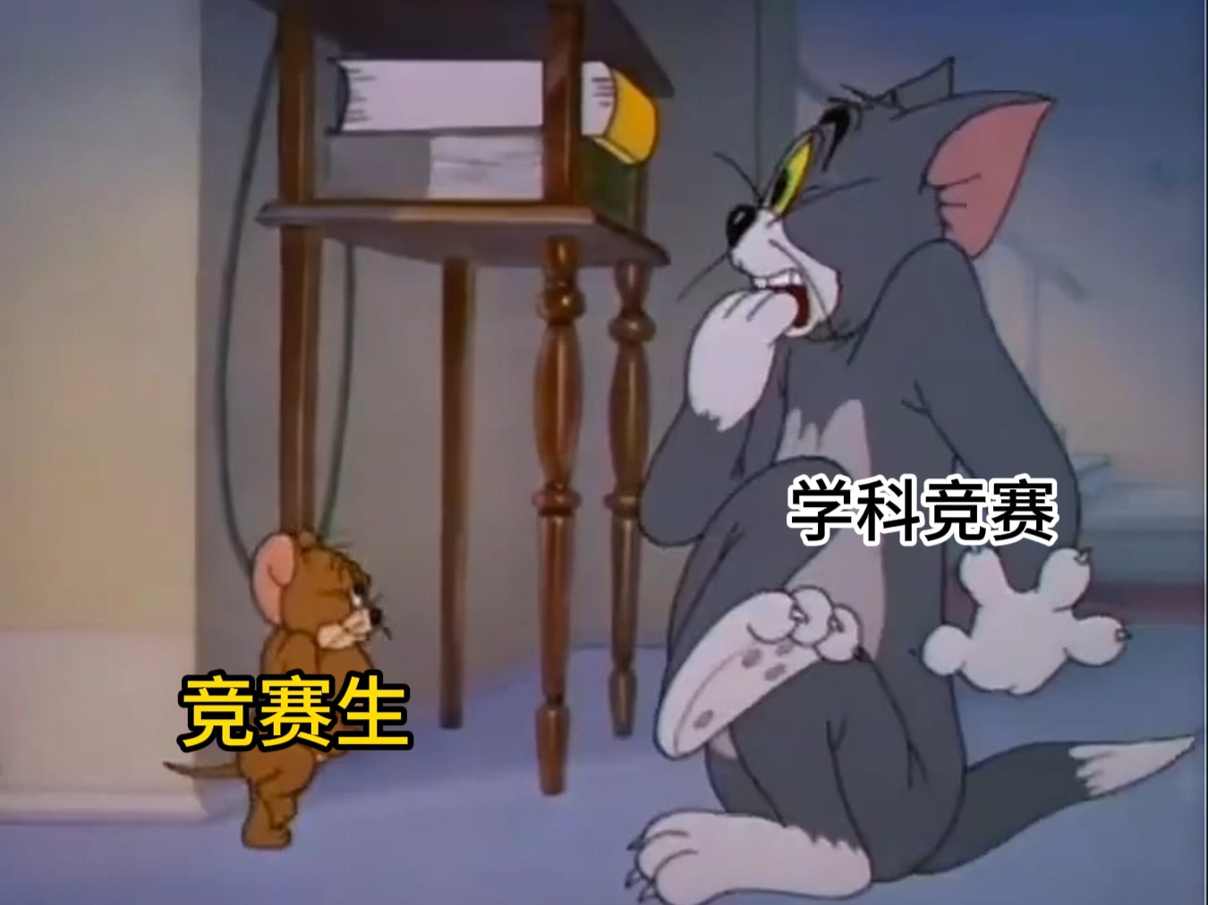 小作坊竞赛生就是狠!哔哩哔哩bilibili