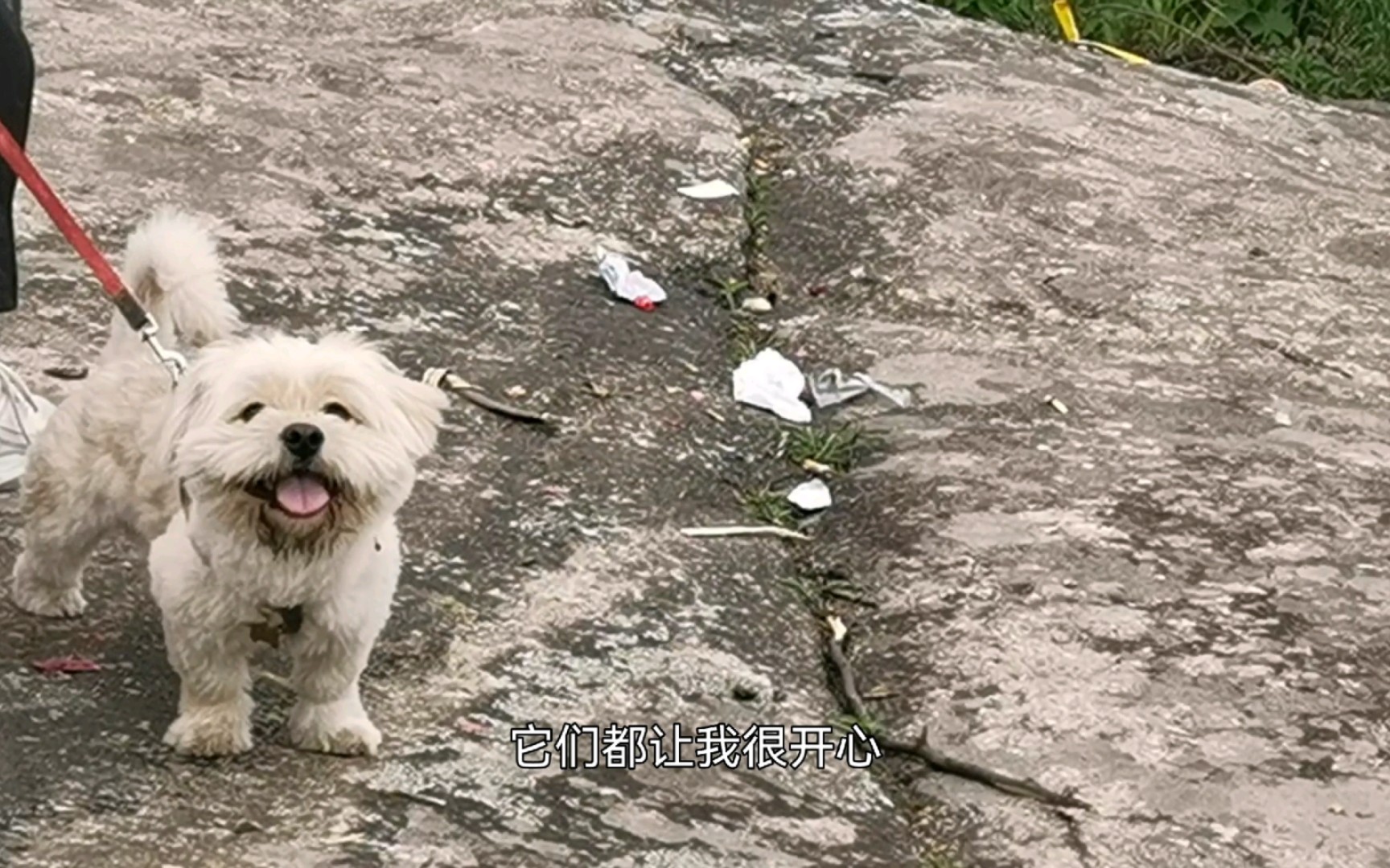 “看见一座山,就想知道山后面是什么”哔哩哔哩bilibili