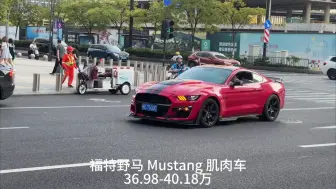 Download Video: 福特Mustang野马合集，小姐姐开，经济型跑车，肌肉车