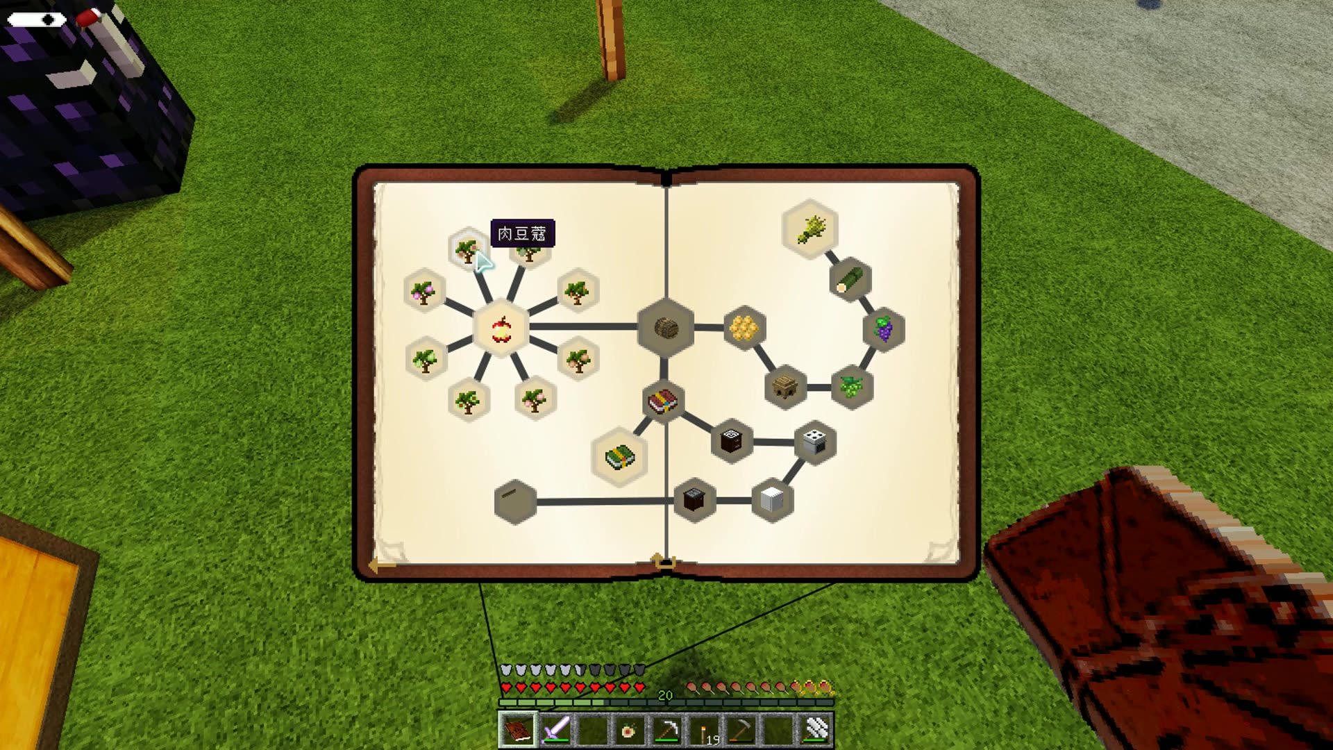【狮王舞者】我的世界遗忘之海9农业起_哔哩哔哩 (゜-゜)つロ 干杯