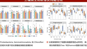 iMeta | 中国科学院水利部水土保持研究所邓蕾组 揭示了长期植被演替下土壤活性碳组分与微生物群落的联系