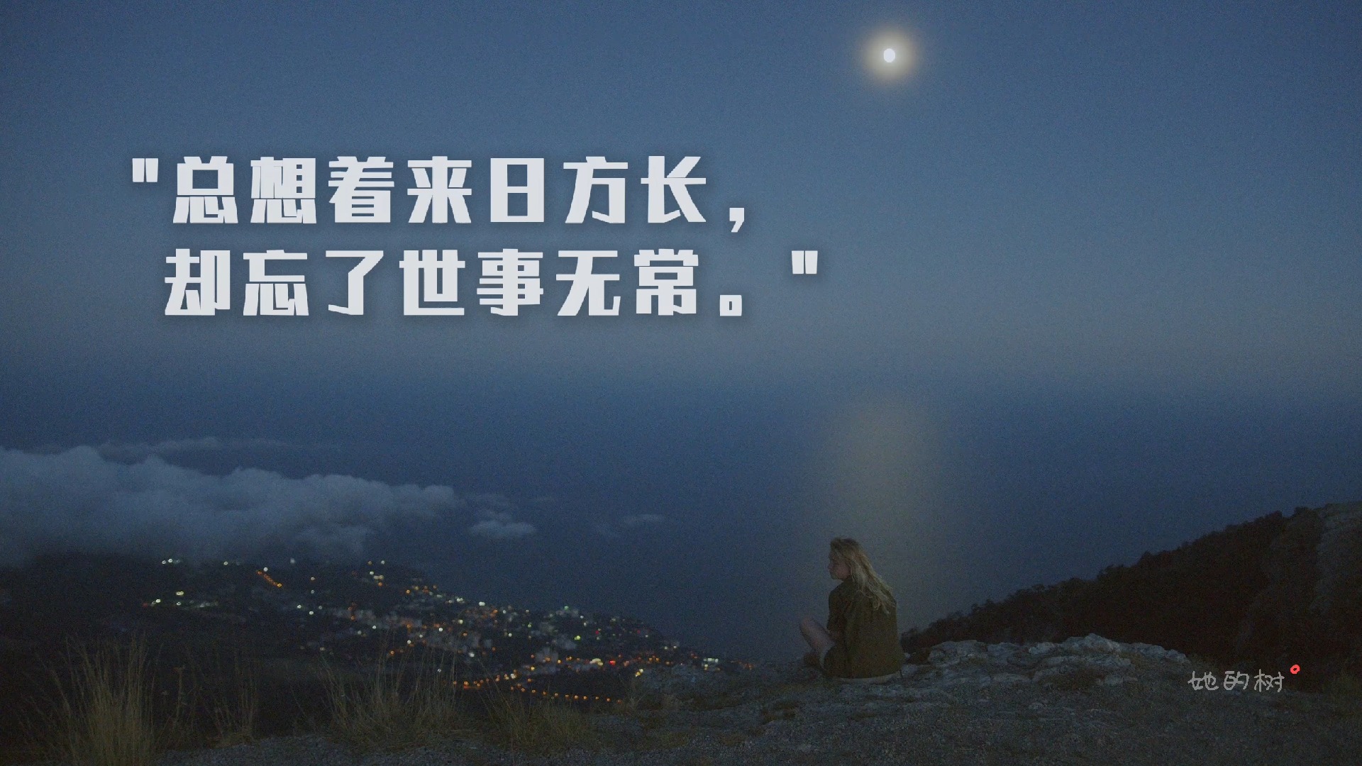 10秒文案|总想着来日方长,却忘了世事无常.【树的文案馆 14/100】