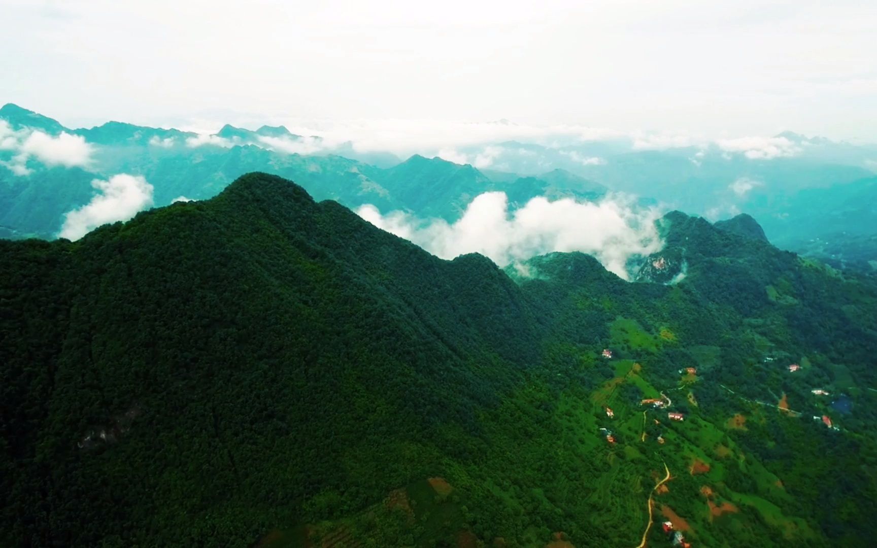 “天下山川,以此为最”——秦岭,就是这样一座山脉,奠定了华夏的地理、生态、气候乃至物种,且又不失其嵯峨,誉为“九州之名阻,天下之险峻”,...