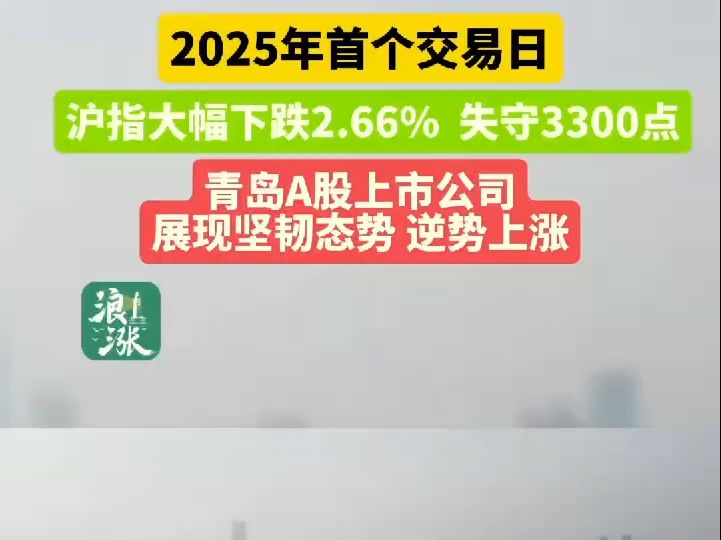 2025年首个交易日,沪指大幅下跌2.66%,失守3300点 青岛A股上市公司展现坚韧态势,逆势上涨 海信家电(000921)、克劳斯(600579)涨幅明哔哩哔...