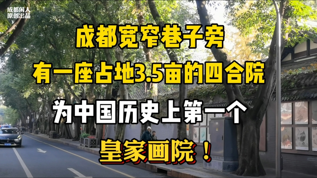 成都商业街宽窄巷子旁有座川西园林风格的四合院,是中国历史上第一座皇家画院!哔哩哔哩bilibili