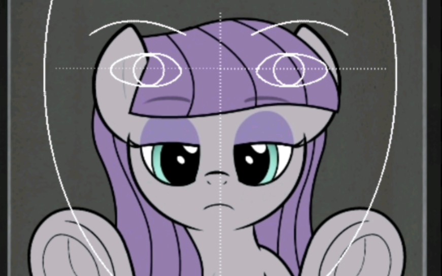 [mlp]小马颜值报告(十三)石灰派(灰琪)