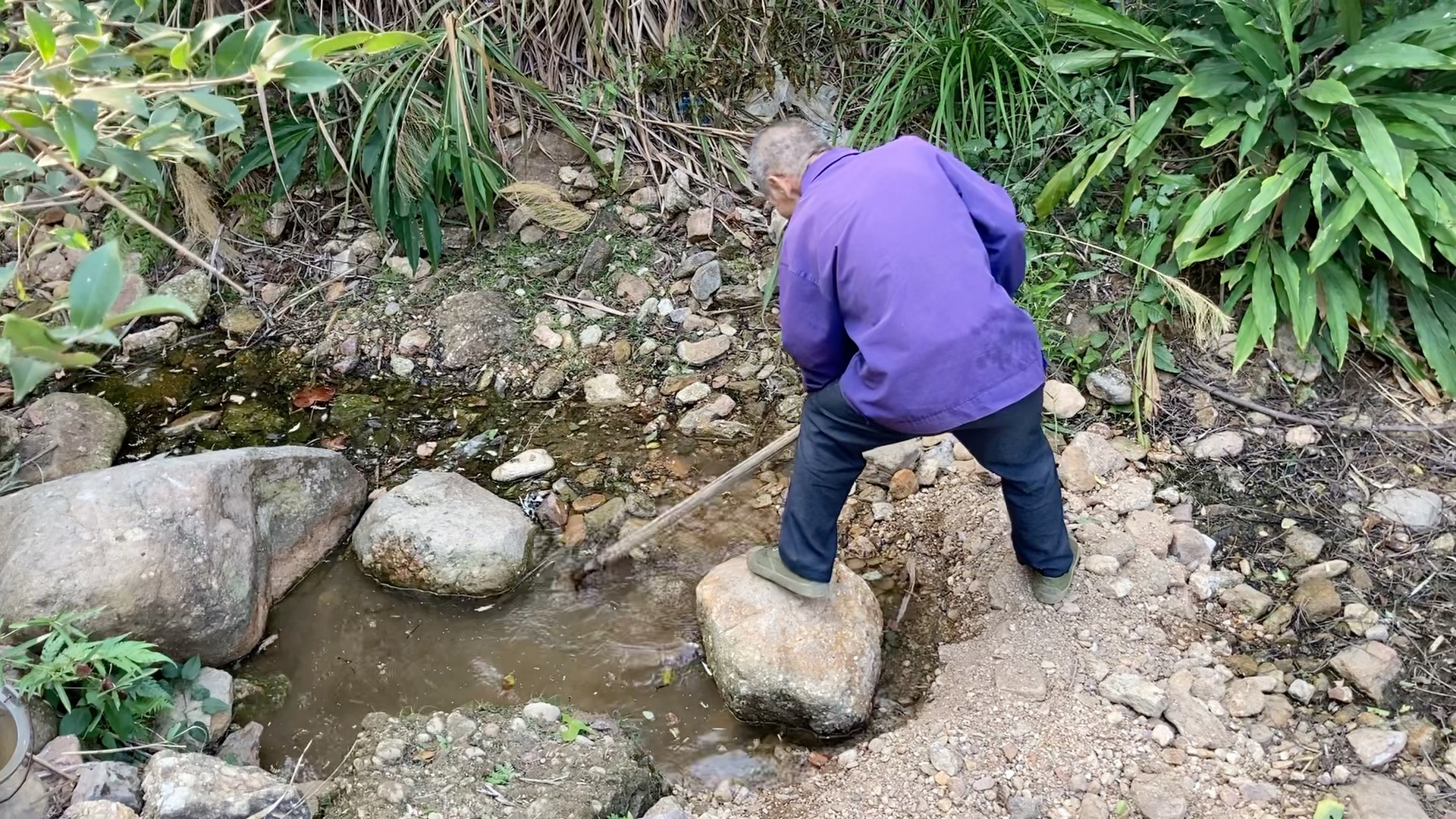 水坑又有变化,风呼呼的,可惜还是没下y