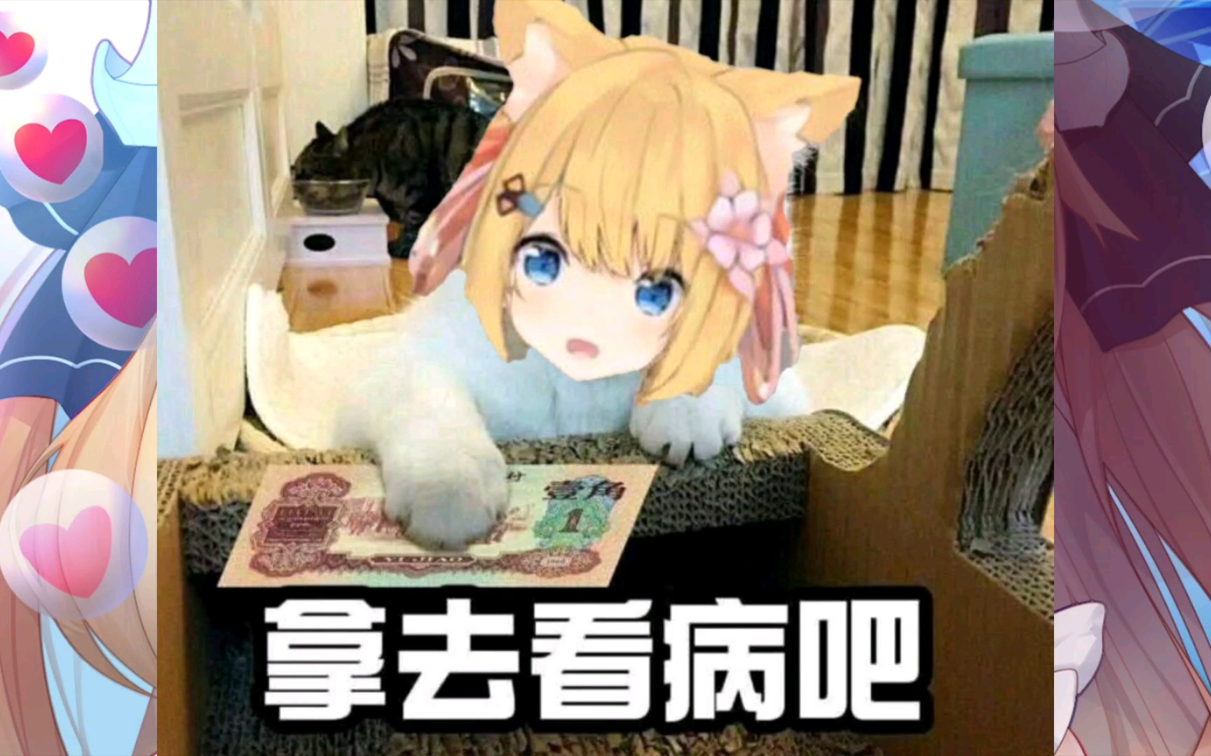 啾啾猫猫表情包花园Serena第八期之偶像猫猫哔哩哔哩bilibili